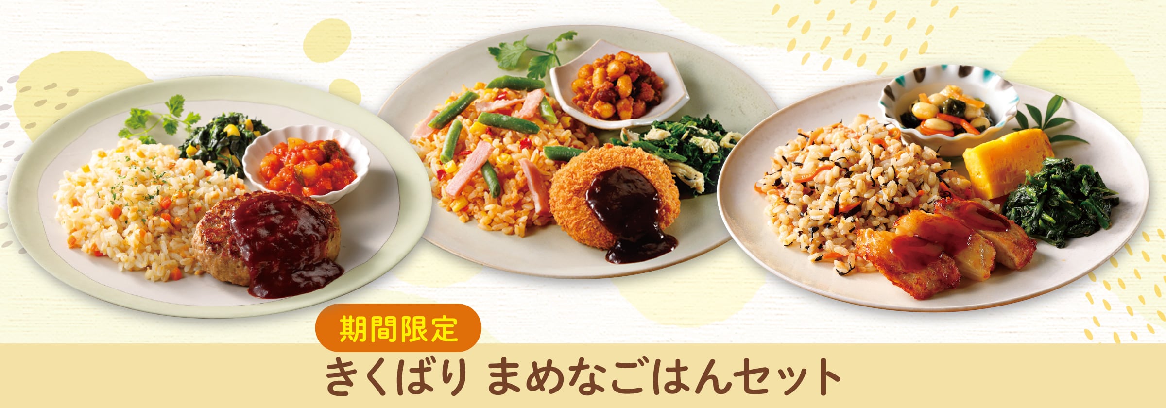 きくばり まめなごはん8食、4食セット・2025年11月