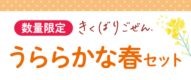 �����΂育���� ����炩�ȏt16�H�Z�b�g�E2026�N3��