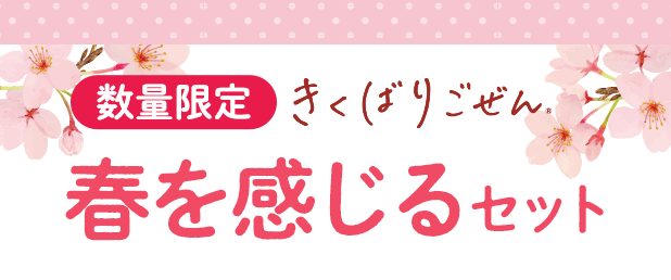 �����΂育���� �t��������16�H�Z�b�g�E2026�N4��