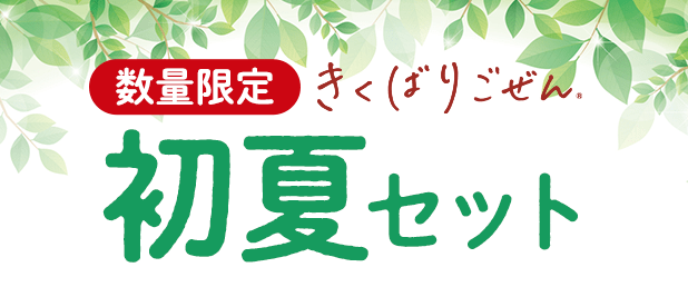 �����΂育���� ����16�H�Z�b�g�E2026�N5��