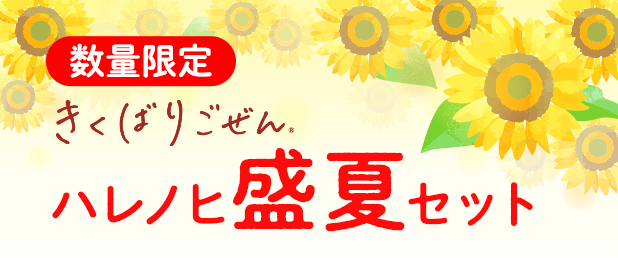 �����΂育���� ����16�H�Z�b�g�E2026�N7��
