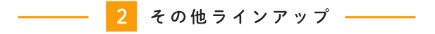 ���̑��̃��C���A�b�v