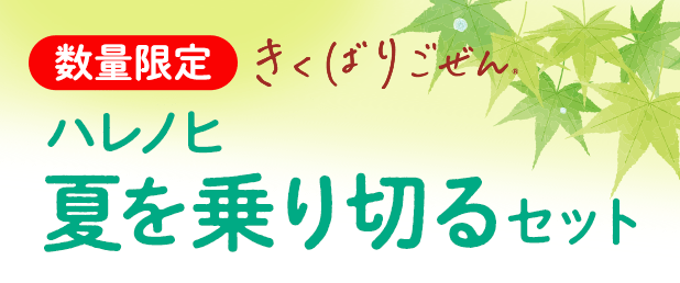 �����΂育���� �Ă����؂�16�H�Z�b�g�E2026�N8��