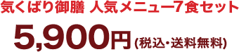 C΂V lC8HR[X 5,900~iōj